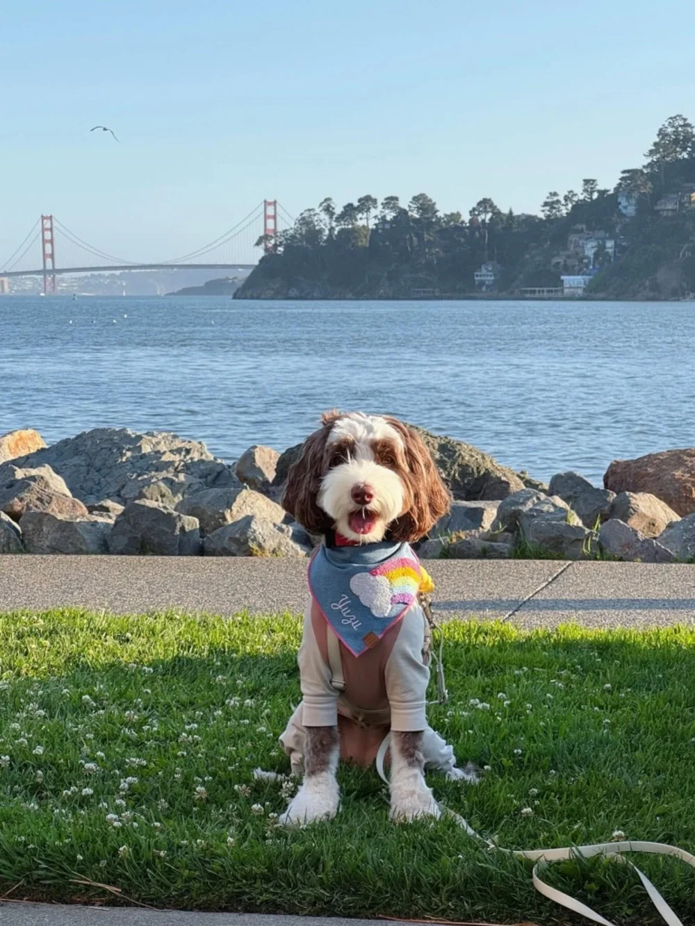 The Foggy Dog Rainbow Applique Dog Bandana